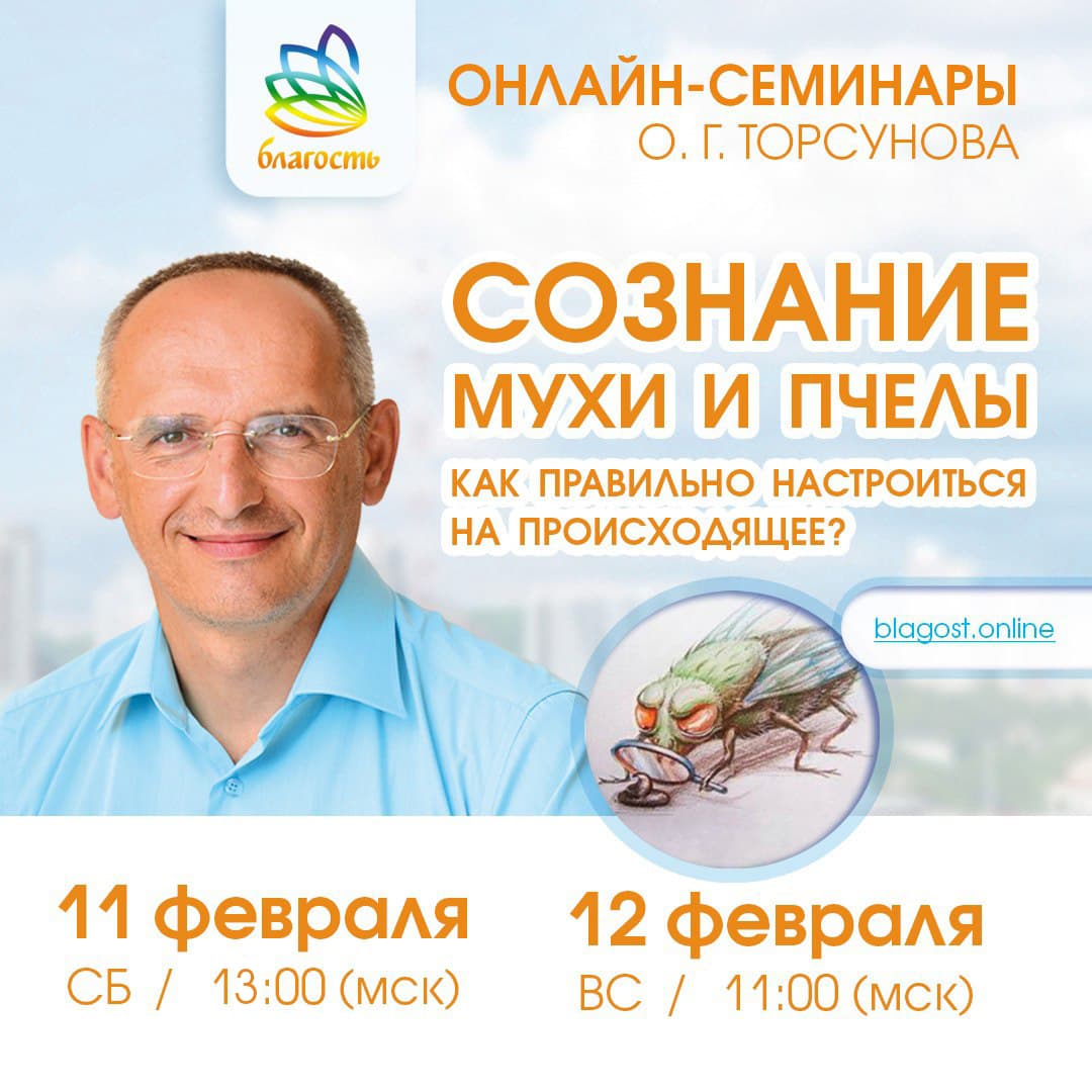 Онлайн-семинар «СОЗНАНИЕ МУХИ, ПЧЕЛЫ. Как правильно настроиться на происходящее» Олег Торсунов