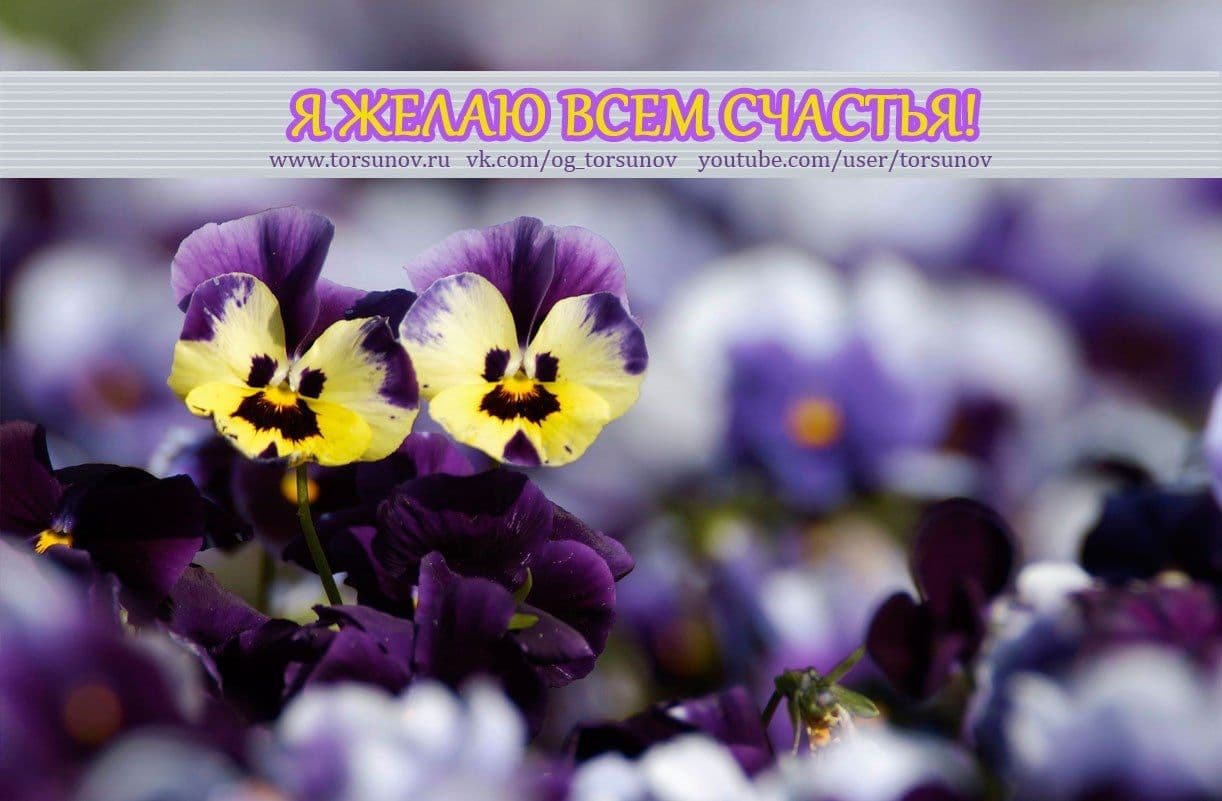 Онлайн-интенсив "Благость"