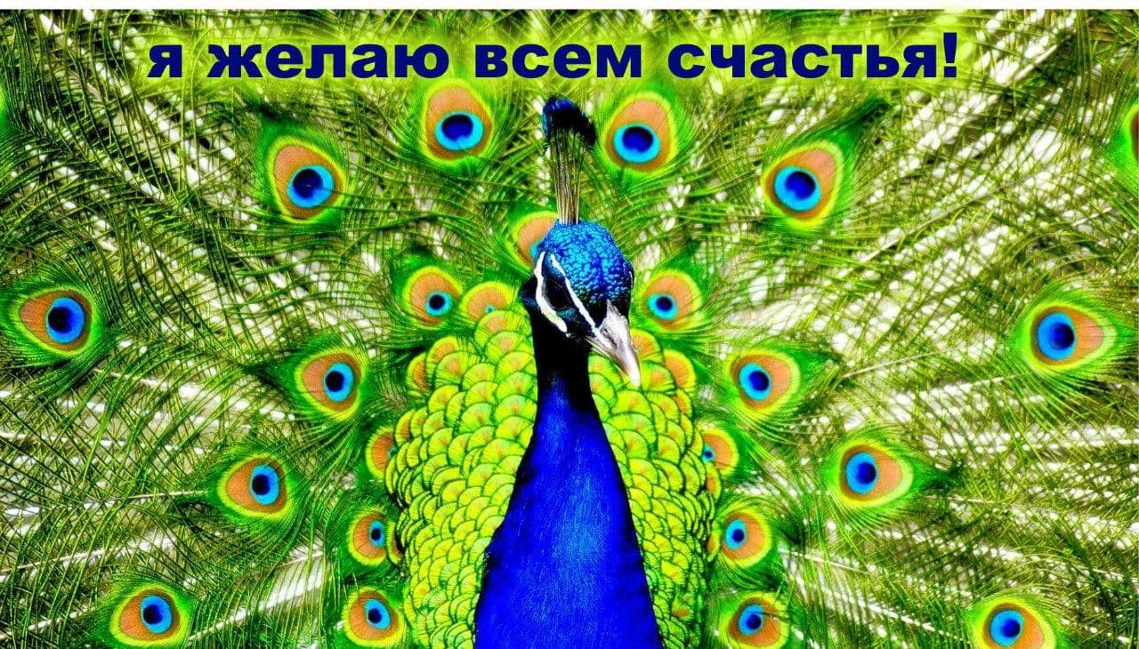 Онлайн-интенсив "Благость"