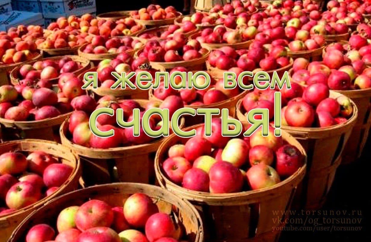 Онлайн-интенсив "Благость"