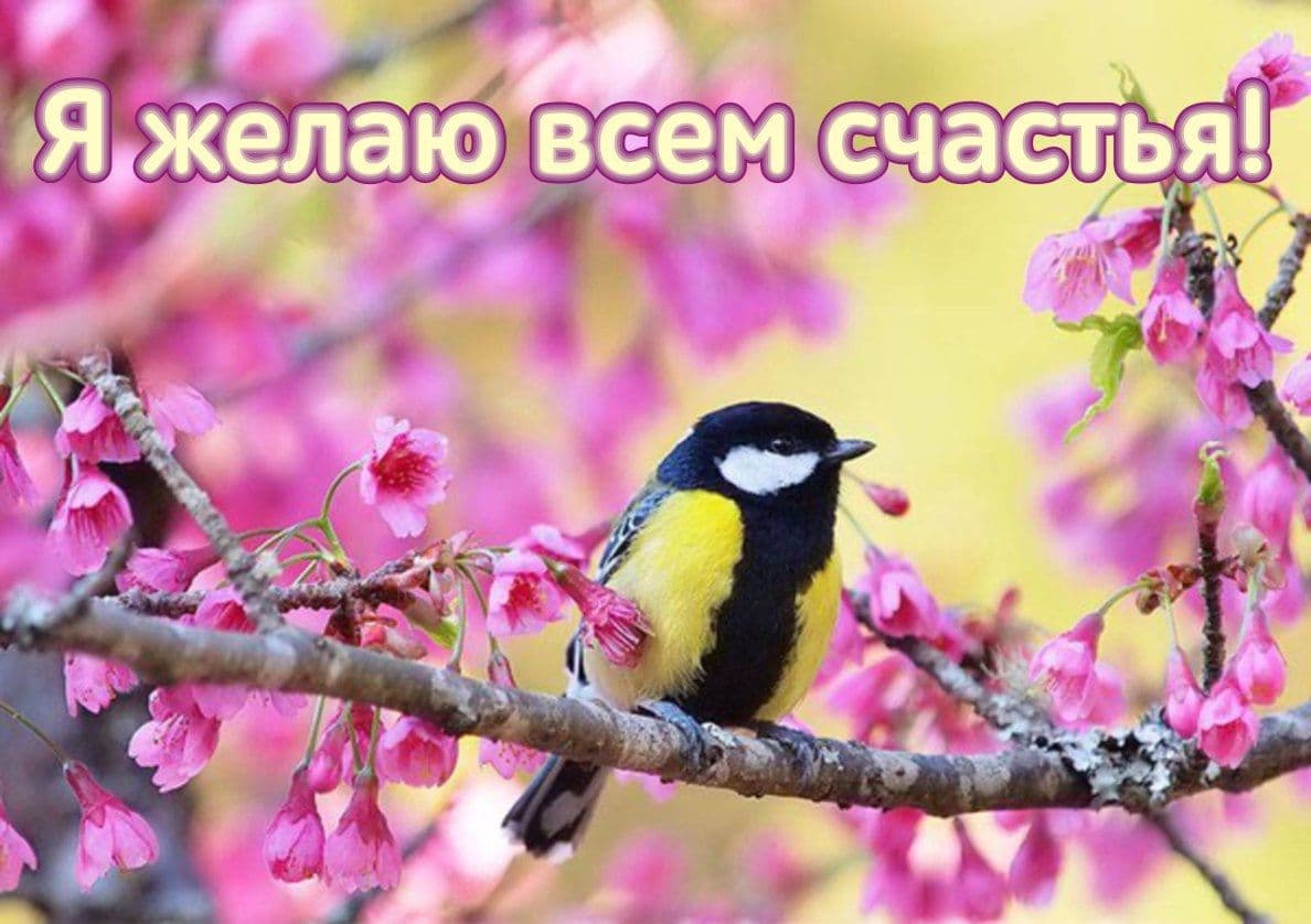 Онлайн-интенсив "Благость"